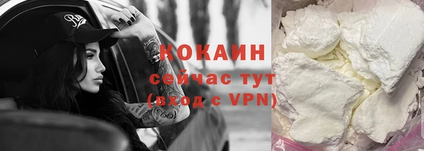 трава Белокуриха
