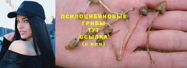 гидропоника Белоозёрский