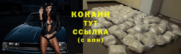 гидропоника Белоозёрский