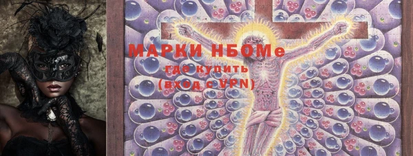 трава Белокуриха