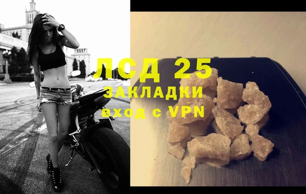 трава Белокуриха