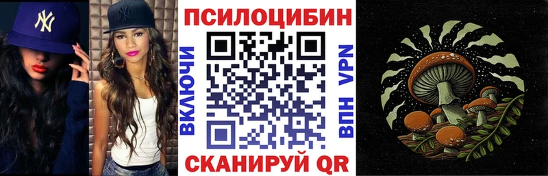 Псилоцибиновые грибы Psilocybine cubensis  Бородино 